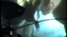 poster-13780-budweiser-lobster-236x132