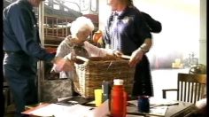 poster-13784-budweiser-the-two-dalmatians-236x132