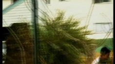 poster-13789-nike-meatball-236x132