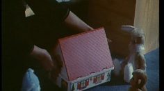 poster-13828-nathan-maison-a-jouer-dodo-236x132