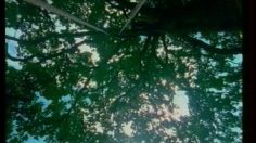 poster-13830-anti-exclusion-aide-aux-handicapes-balancoire-236x132