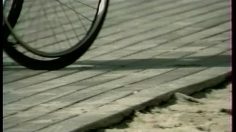 poster-13875-anti-exclusion-aide-aux-handicapes-sur-la-plage-236x132