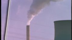 poster-13882-wwf-protection-environnement-windmill-236x132