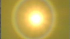 poster-13896-sierra-mist-monkey-236x132