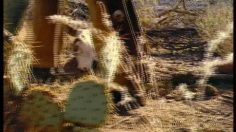 poster-139-videotron-internet-par-cable-duel-236x132