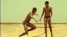 poster-13900-lmn-lemon-water-hose-236x132