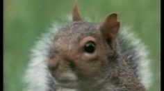 poster-1394-carling-black-label-mission-impossible-236x132