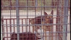 poster-13940-frequency-sound-design-studio-our-side-of-the-story-236x132