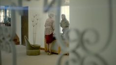 poster-13963-yarrah-organic-pet-food-licks-236x132