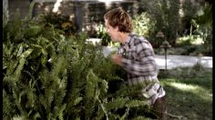 poster-13968-blockbuster-raccoon-236x132