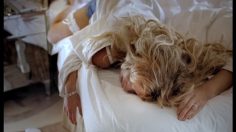 poster-13995-dnb-nor-clooney-gets-married-236x132