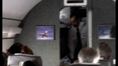 poster-14014-volkswagen-polo-playa-le-pilote-farceur-236x132