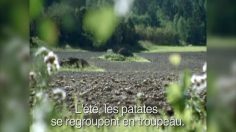 poster-14032-olw-la-fuite-236x132