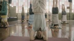 poster-14037-love-life-port-preservatif-anti-mst-yoga-236x132