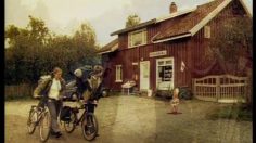 poster-14057-vg-newspaper-les-preservatifs-puppy-love-236x132