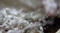 poster-14060-panasonic-lumix-climber-236x132