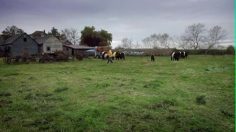 poster-14067-koko-productions-artisan-236x132