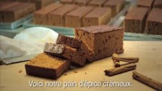 poster-14085-bolletje-ginger-bread-the-finger-236x132