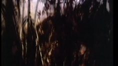 poster-14128-volkswagen-polo-la-fourmi-236x132