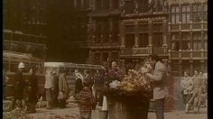 poster-14134-dop-creme-parfum-le-fleuriste-236x132