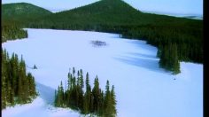 poster-14144-agf-patineurs-236x132