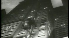 poster-14167-tulipan-gel-lubrifiant-king-kong-236x132