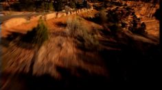 poster-14171-citroen-saxo-le-ravin-236x132