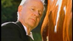 poster-14175-lotto-more-milk-236x132