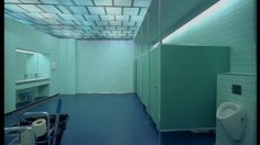 poster-14188-harmony-prima-papier-toilette-swans-236x132