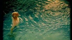 poster-14199-swica-assurance-forever-young-236x132