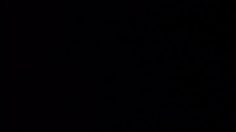 poster-14208-interflora-shirt-236x132