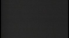 poster-1421-reebok-saut-a-la-perche-236x132