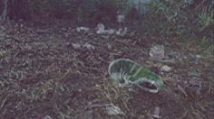 poster-14221-anti-exclusion-anti-exclusion-zombie-236x132