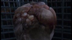 poster-14243-playstation-playstation-3-ps3-head-236x132