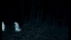 poster-14267-bmw-serie-7-nightvision-236x132