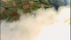 poster-14268-motorola-wings-236x132