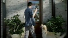 poster-14301-toyota-4-runner-adventure-236x132