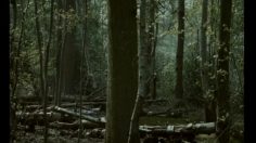 poster-14306-skoda-octavia-fishing-236x132