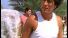 poster-14312-havaianas-marcos-palmeira-236x132