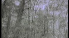 poster-1442-reebok-massacre-a-la-tronconneuse-236x132