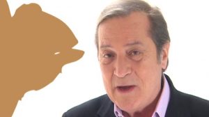 poster-14420-l-actu-2008-01-28-300x168