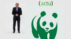 poster-14462-l-actu-2008-03-31-236x132