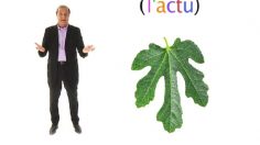 poster-14513-l-actu-2008-06-16-236x132