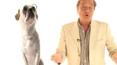 poster-14540-les-animaux-2008-10-06-236x132