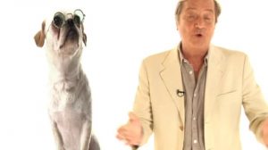 poster-14540-les-animaux-2008-10-06-300x168