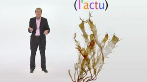 poster-14551-l-actu-2008-11-03-300x168