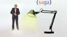 poster-14554-saga-ikea-2008-11-03-236x132