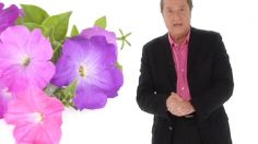 poster-14560-l-actu-2008-11-17-236x132