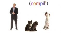 poster-14570-casting-d-animaux-2008-11-24-236x132