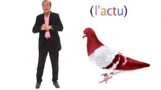 poster-14603-l-actu-2009-06-08-236x132